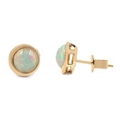 18K Welo Opal Gold Earrings