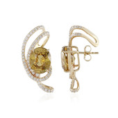 14K Yellow Zircon Gold Earrings (de Melo)