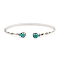 Campitos Turquoise Silver Bangle (Anne Bever)