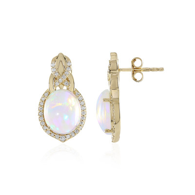 14K Welo Opal Gold Earrings (AMAYANI)