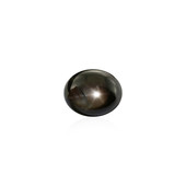 Black Star Sapphire other gemstone 2,475 ct