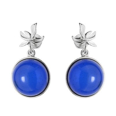 Colombian blue Amber Silver Earrings (dagen)