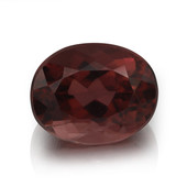 Rubellite other gemstone 2,98 ct