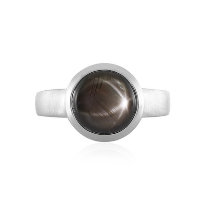 Black Star Sapphire Silver Ring (MONOSONO COLLECTION)