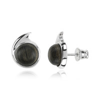 Black Oak Silver Earrings