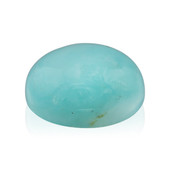 Paraiba Opal other gemstone 0.69 ct