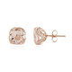 14K AAA Peach Morganite Gold Earrings (de Melo)