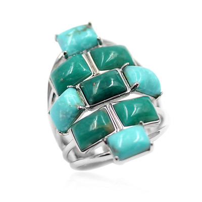 Campo Frio-Turquoise Silver Ring (Anne Bever)