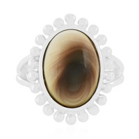 Shiva Eye Silver Ring