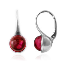 Colombian red Amber Silver Earrings