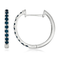 Blue Diamond Silver Earrings