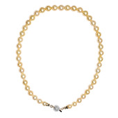 9K Golden South Sea Pearl Gold Necklace (TPC)