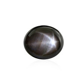 Black Star Sapphire other gemstone 16,605 ct