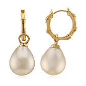 Kabira Golden South Sea Pearl Silver Earrings (TPC)