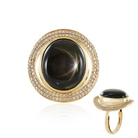 18K Black Star Sapphire Gold Ring (de Melo)