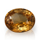 Grossular Garnet other gemstone 8,69 ct