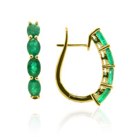 18K AAA Zambian Emerald Gold Earrings (CIRARI)
