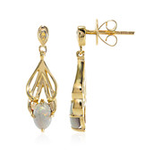 9K Lightning Ridge Crystal Black Opal Gold Earrings (Mark Tremonti)