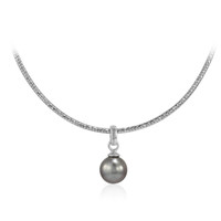 Tahitian Pearl Silver Necklace (TPC)