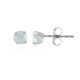 Paraiba Opal Silver Earrings