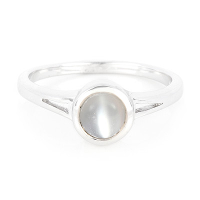 Ceylon Cat´s Eye Moonstone Silver Ring