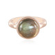 Green Maniry Labradorite Silver Ring (KM by Juwelo)