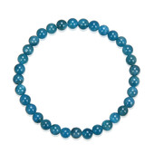 Blue Apatite other Bracelet