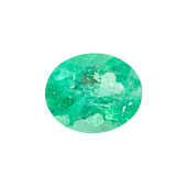 Muzo Colombian Emerald other gemstone 1,17 ct