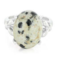 Dalmatian Jasper Silver Ring