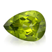 Kashmir Peridot other gemstone 9.43 ct