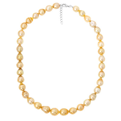 Golden South Sea Pearl Silver Necklace (TPC)