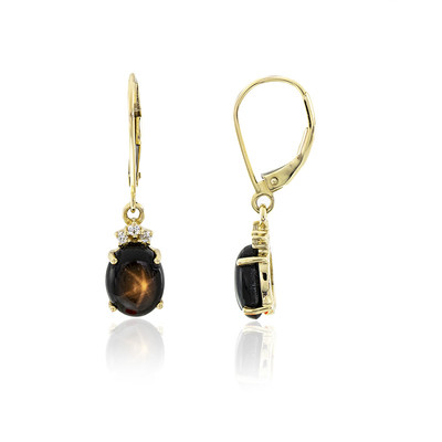 9K Black Star Sapphire Gold Earrings
