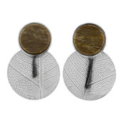 Petrified Wood Silver Earrings (dagen)