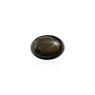 Black Star Sapphire other gemstone 1,305 ct