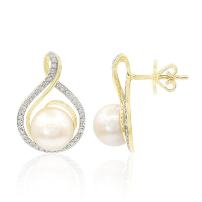 9K Akoya Pearl Gold Earrings (TPC)