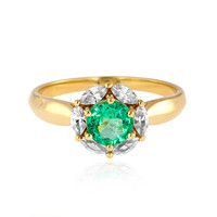 14K Muzo Colombian Emerald Gold Ring (de Melo)