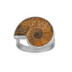 Ammonite Silver Ring