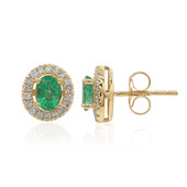 10K AAA Zambian Emerald Gold Earrings