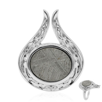 Iron Meteorite Silver Ring