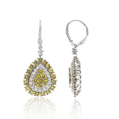 14K SI1 Yellow Diamond Gold Earrings (CIRARI)