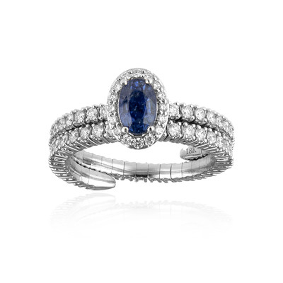 18K Blue Sapphire Gold Ring (de Melo)