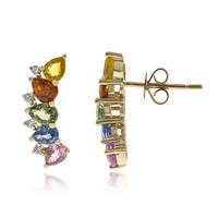 10K Fancy Sapphire Gold Earrings