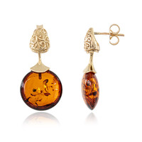 9K Baltic Amber Gold Earrings