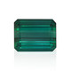 Green Tourmaline other gemstone 11,08 ct