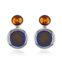 Baltic Amber other Earrings