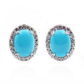 Sleeping Beauty Turquoise Silver Earrings (Faszination Türkis)
