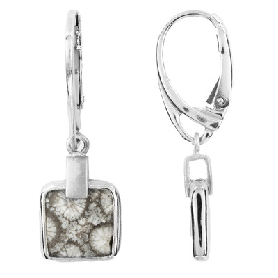Petrified Coral Silver Earrings