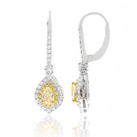 18K SI Yellow Diamond Gold Earrings (CIRARI)