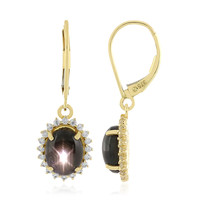 9K Black Star Sapphire Gold Earrings