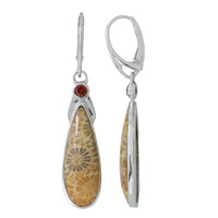 Petrified Coral Silver Earrings